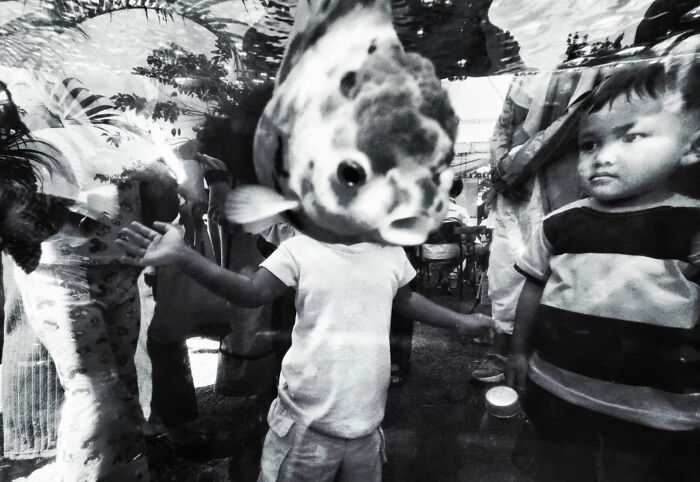 Child behind a fish tank with a large fish obstructing the view in a perfectly timed street photo.