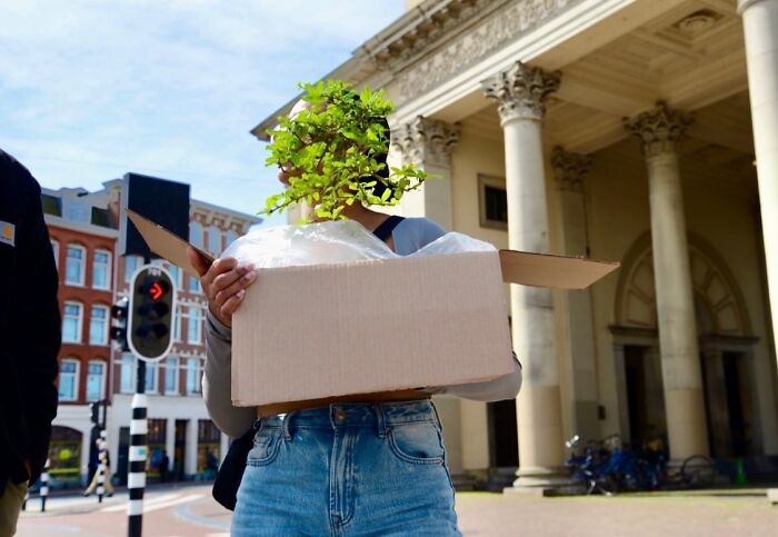 Street photographer captures perfect coincidences as person holds box with plant aligning with their head outdoors.