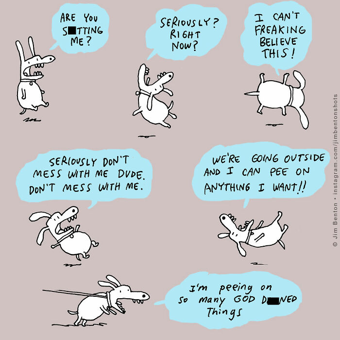 Cartoon dogs with speech bubbles imagining what dogs would say if they could talk, featuring humorous dog thoughts.