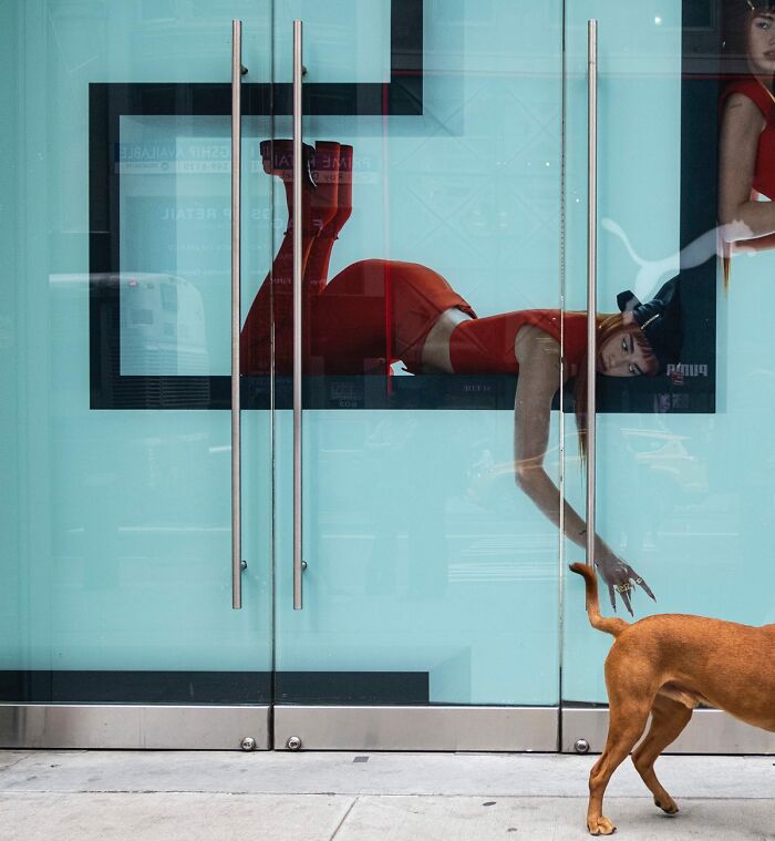 Candid street photo of a dog playfully interacting with a woman in a red outfit behind glass doors.