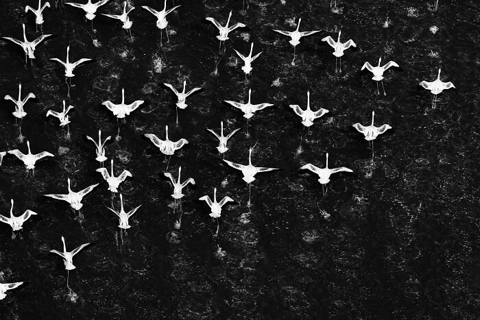 Aerial black and white photo of birds flying over textured water, showcasing breathtaking aerial photography techniques.