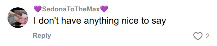 Comment on social media by user SedonaToTheMax expressing a negative opinion about influencer&rsquo;s new cubic jeans trending online.