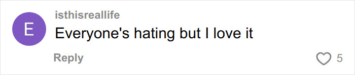 Comment reading Everyone's hating but I love it reacting to influencer&rsquo;s new cubic jeans sparking social media debate.