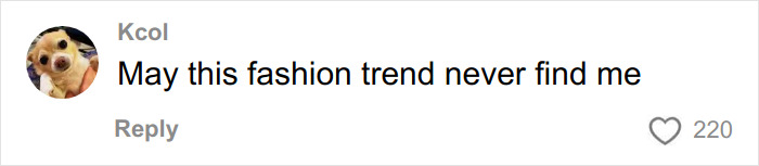 Comment on social media featuring a dog profile picture reacting to the influencer&rsquo;s cubic jeans fashion trend.