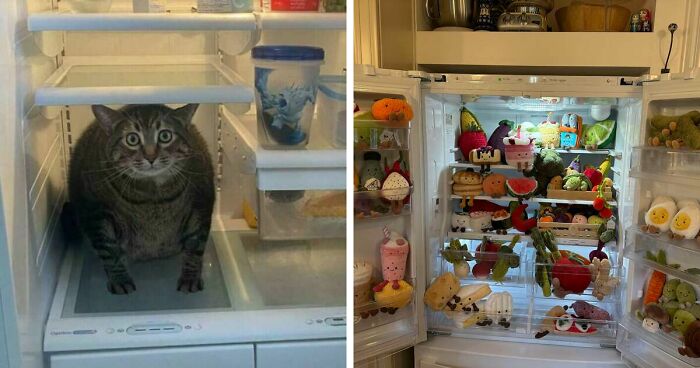 37 Of The Most Interesting Fridge Contents That Would Not Pass The Pinterest Aesthetic Vibe
