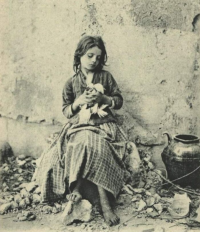 Young girl in worn clothing holding a bird, sitting barefoot among rubble, capturing the sad history of humanity.