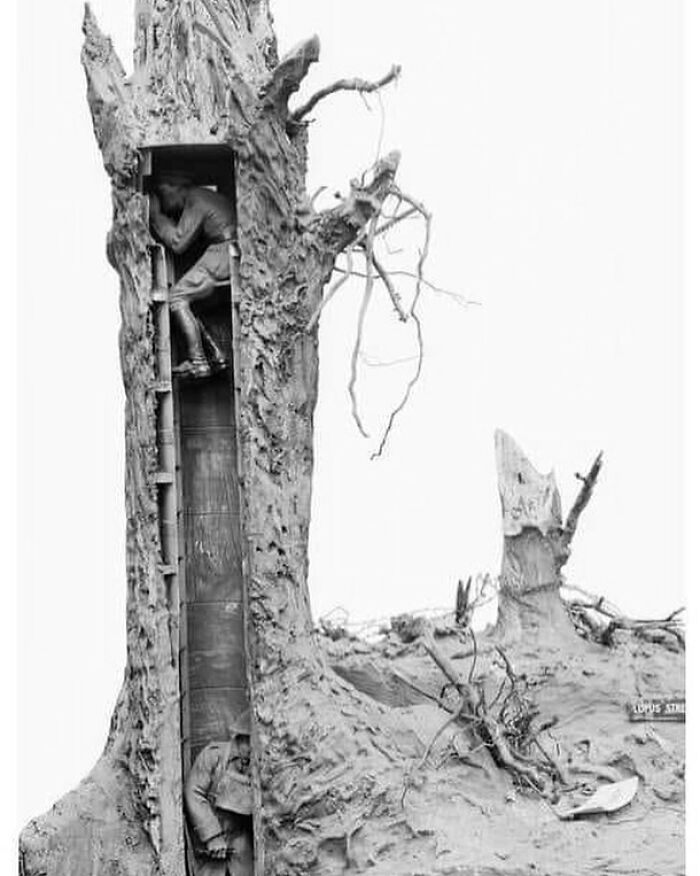 Black and white photograph showing soldiers trapped inside a hollow tree, illustrating the harsh history of humanity.