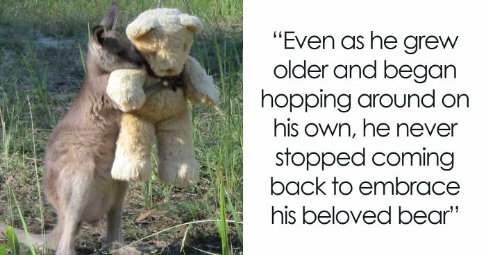 83 Photos Of Cute Animals To Instantly Melt Your Day’s Stress And Anxiety