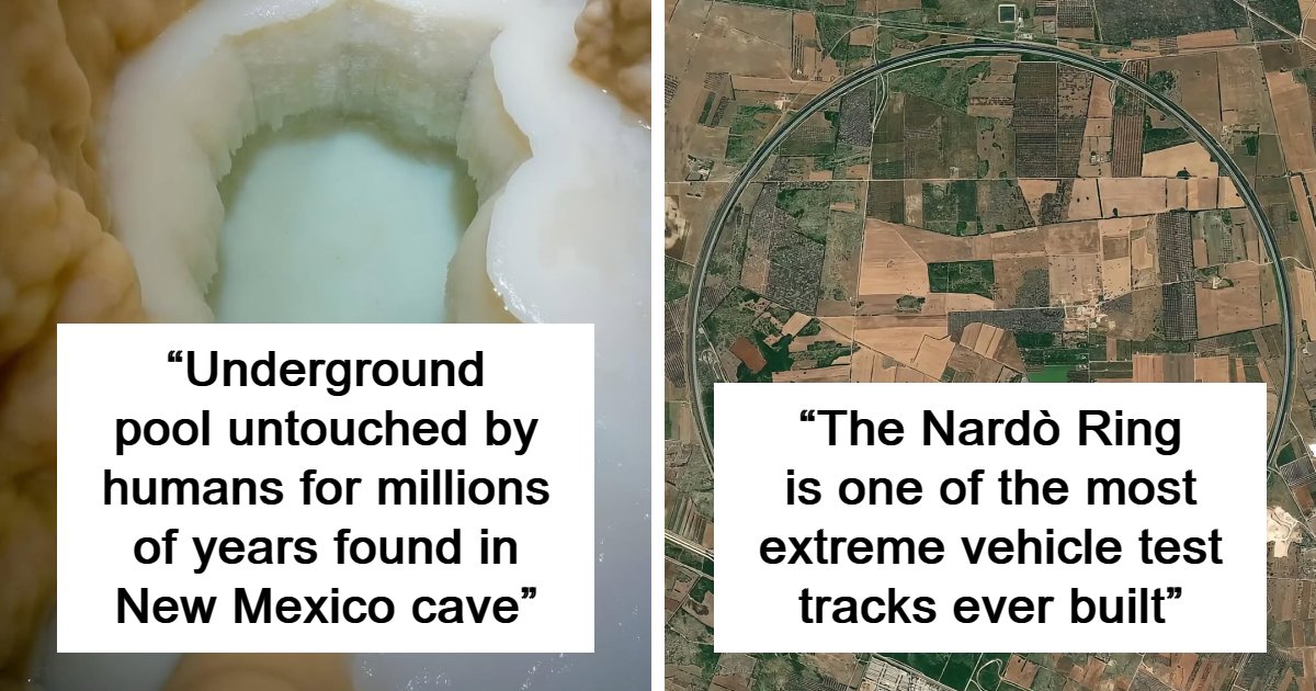 88 Random Facts That Nobody Really Asked For, But They Are Still Fun To Know