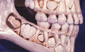 50 Medical Pics That Are Weirdly Mesmerizing And Slightly Disturbing