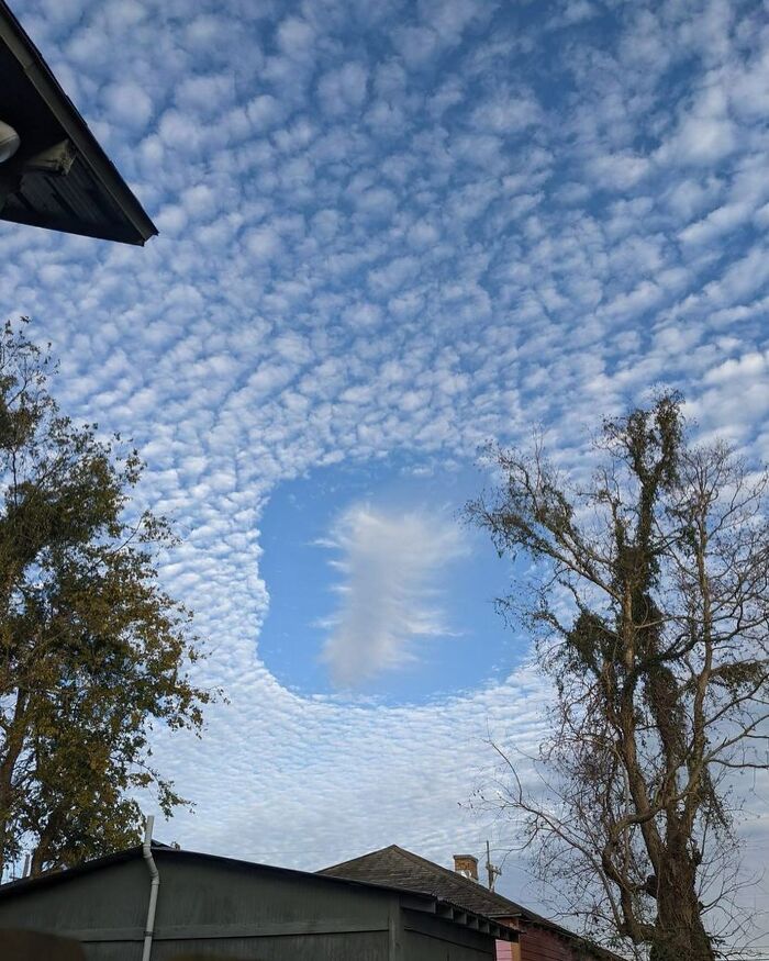 Unusual cloud formation visible above trees and rooftops, a weird thing found in the streets sky.