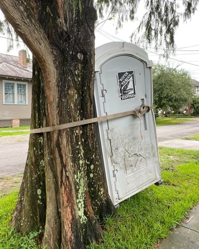 Portable toilet oddly strapped to a tree on a residential street, showcasing one of the weirdest things found in the streets.