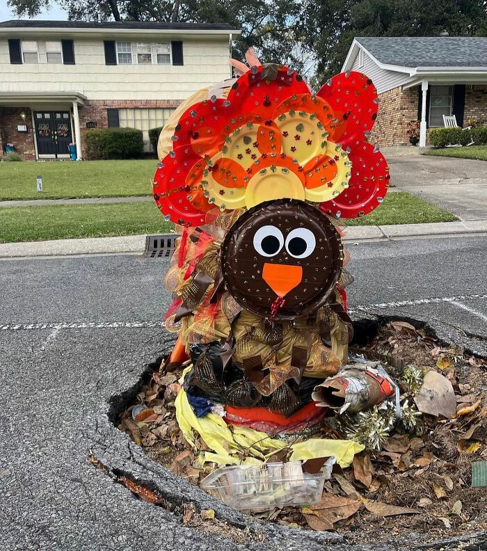Weird object resembling a colorful turkey decoration found in a large pothole on a residential street.