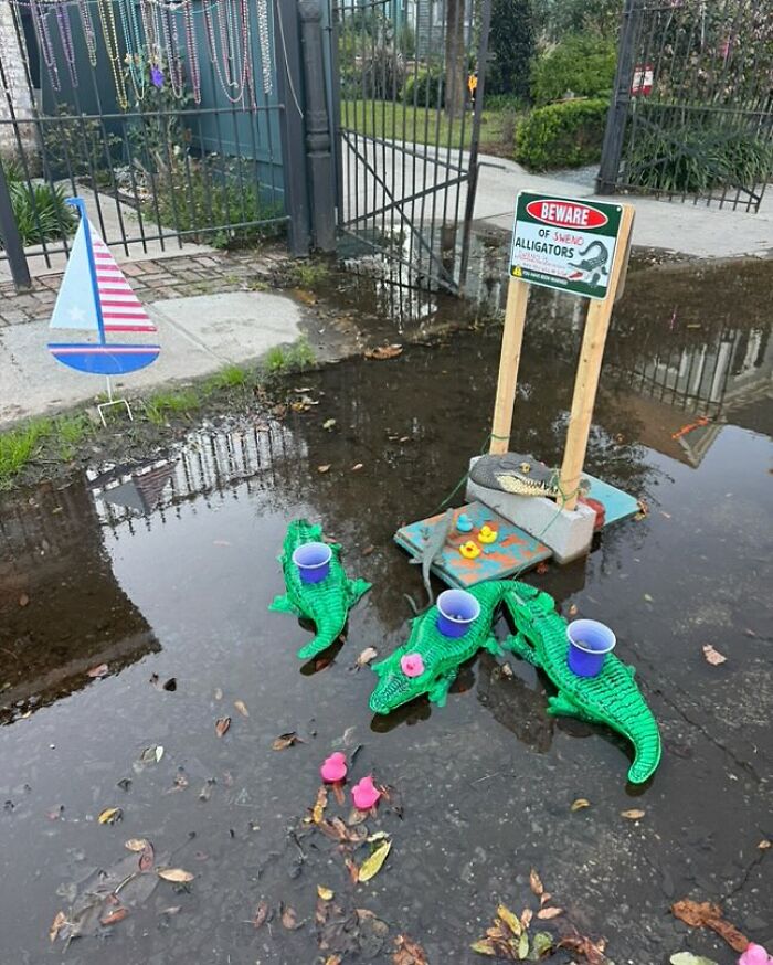 Toy alligators with cups on their backs and a beware of alligators sign in a flooded street scene showing weird street finds.