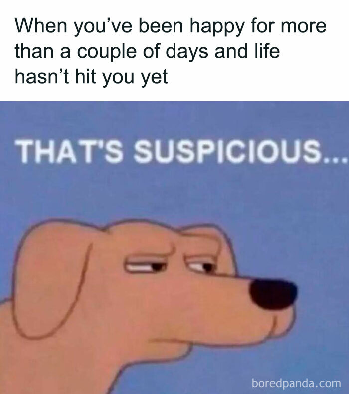 Suspicious dog meme captioned about brief happiness, relatable introvert meme highlighting life moments and moods.