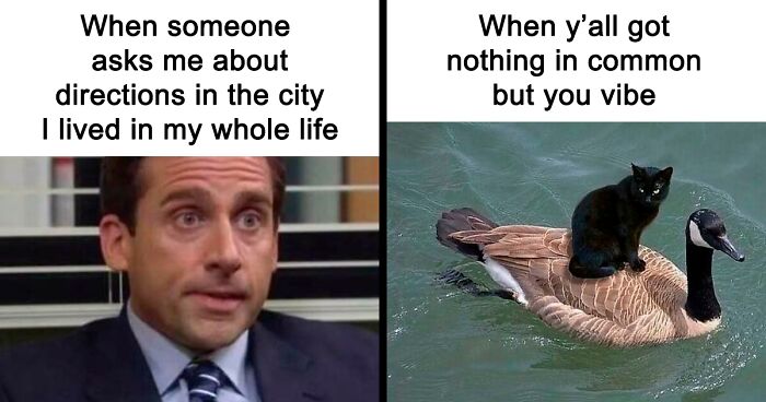 80 Funny Memes That Introverts Might Recognize Themselves In