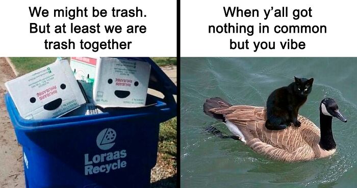 80 Funny Memes That Introverts Might Recognize Themselves In