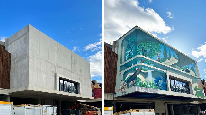 Realistic 3D mural painted on dull building wall transforming the plain concrete facade with vibrant artwork.