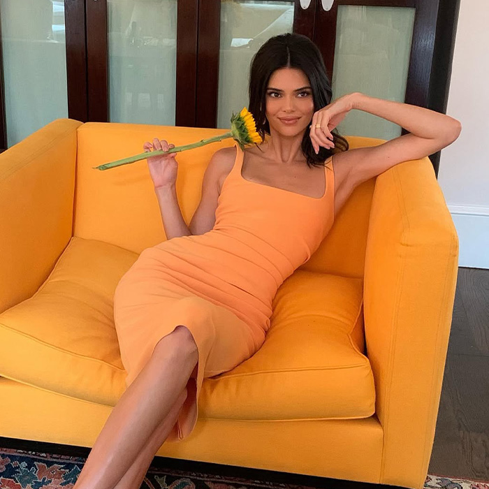 "Hand Her A Mirror": Kendall Jenner Draws Scrutiny After Denying Plastic Surgery Rumors "Hand Her A Mirror": Kendall Jenner Draws Scrutiny After Denying Plastic Surgery Rumors