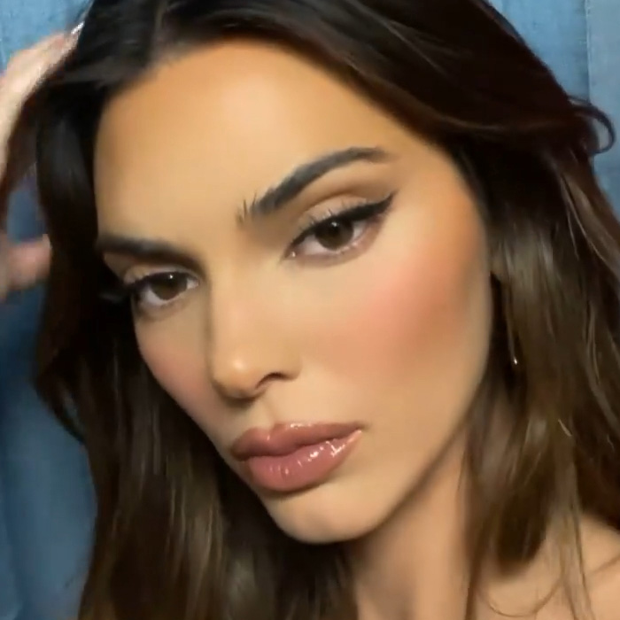 "Hand Her A Mirror": Kendall Jenner Draws Scrutiny After Denying Plastic Surgery Rumors "Hand Her A Mirror": Kendall Jenner Draws Scrutiny After Denying Plastic Surgery Rumors