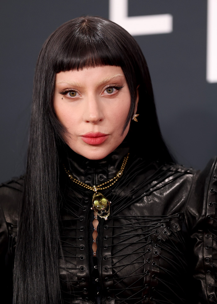 Lady Gaga close-up portrait wearing black outfit with long straight hair, known for bold ICE speech at concert event. Lady Gaga close-up portrait wearing black outfit with long straight hair, known for bold ICE speech at concert event.