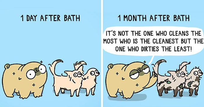 Artist Draws Her Life With Mochi The Pug, And It’s Funny And Heartwarming (23 New Pics)