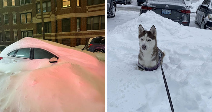“You’re Still Coming To Work, Right?” 94 Photos Showing The Aftermath Of A Massive Winter Storm In The US