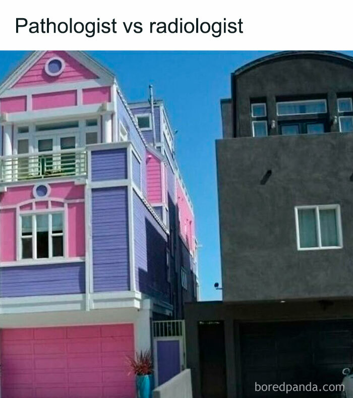 Colorful pink and purple house next to a plain gray house illustrating humor in healthcare memes about pathologist vs radiologist.