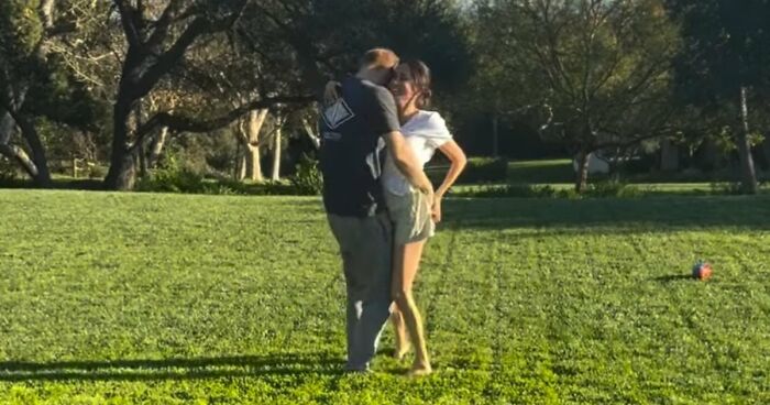 This Artist Makes Wholesome Pun Illustrations Featuring Animals And Objects (32 Pics)