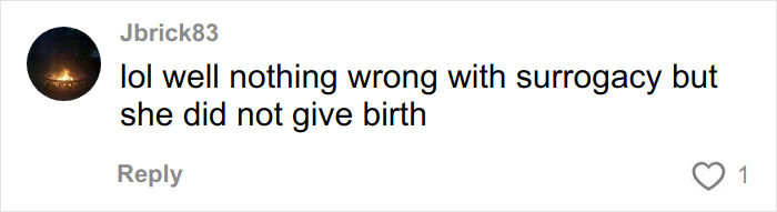Social media comment addressing Meghan Trainor surrogacy and public reaction to her choice of not giving birth herself. Social media comment addressing Meghan Trainor surrogacy and public reaction to her choice of not giving birth herself.