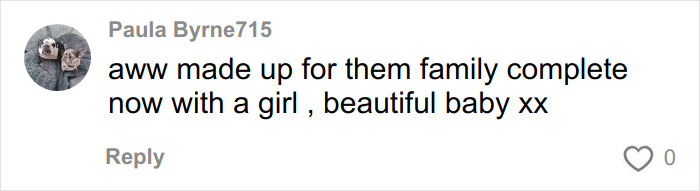 Social media comment praising Meghan Trainor's family for completing with a beautiful baby after using a surrogate. Social media comment praising Meghan Trainor's family for completing with a beautiful baby after using a surrogate.