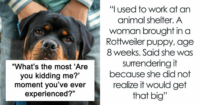 38 Times People Witnessed Stupidity So Bad They Thought It Was A Prank