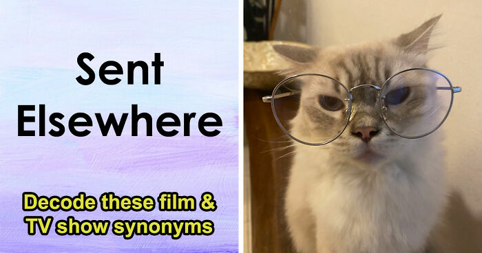 Only The Sharpest Minds Will Decode These 30 Funky Synonyms Of Popular Movies And TV Shows