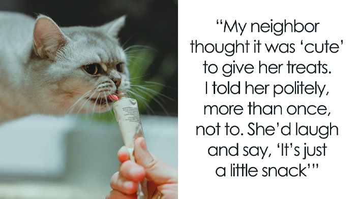Woman Ignores Warnings About Not Feeding The Neighbors Cat, Learns Her Lesson The Hard Way
