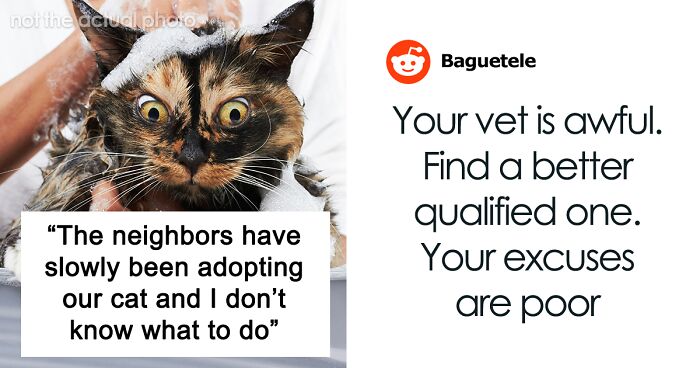 Neighbor Keeps Stealing Woman’s Cat, She Doesn’t Know What To Do: “I Really Miss My Cat”