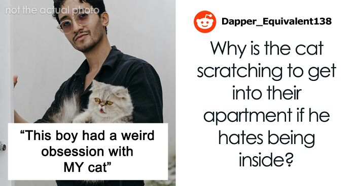 Person’s Cat Starts Disappearing For Days, Turns Out The Neighbor Has Been ‘Adopting’ Him