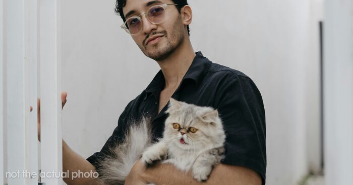 Person’s Cat Starts Disappearing For Days, Turns Out The Neighbor Has Been ‘Adopting’ Him