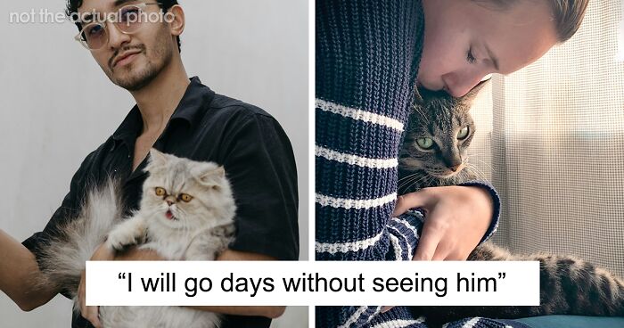 Person’s Cat Starts Disappearing For Days, Turns Out The Neighbor Has Been ‘Adopting’ Him