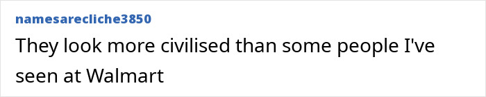 Comment on social media post discussing uncontacted Amazonian tribe footage, expressing surprise about their civilization compared to Walmart shoppers. Comment on social media post discussing uncontacted Amazonian tribe footage, expressing surprise about their civilization compared to Walmart shoppers.
