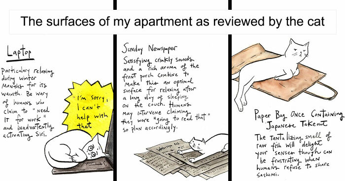 25 Comics By Dana Jeri Maier Observing The Funny Side Of Modern Life