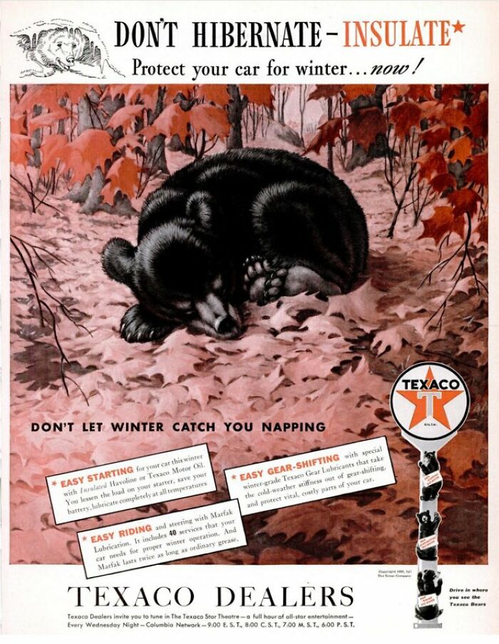 Vintage Texaco ad featuring a bear promoting winter car protection with easy oil and lubrication tips.