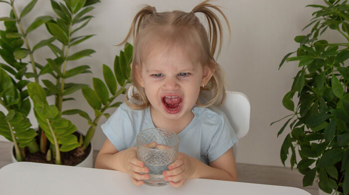 Woman furious: toddler screaming at table clutching a glass, parents laughing off-frame