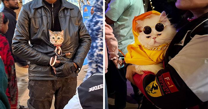 16 Adorable Moments I Captured At Paw Carnival 2026