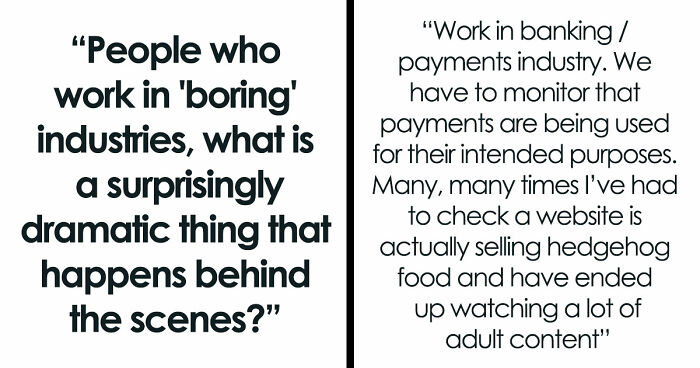 30 Jobs That Might Look Mundane But Hide The Most Dramatically Surprising Things