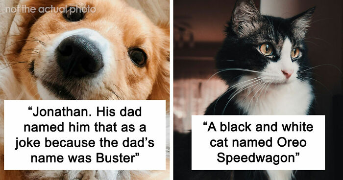80 Times People Heard Such Brilliant And Bizarre Pet Names That They Just Had To Share Them