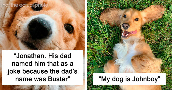 80 Times People Heard Such Brilliant And Bizarre Pet Names That They Just Had To Share Them