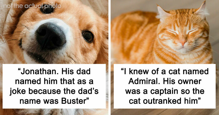 80 Times People Heard Such Brilliant And Bizarre Pet Names That They Just Had To Share Them