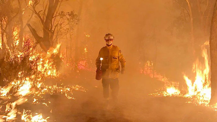 Firefighter in protective gear walking through intense wildfire in a forest, illustrating impactful moments from countries shared.