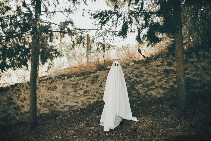 Person dressed as a ghost in a white sheet standing near a stone wall in a wooded area, Moments People Faced