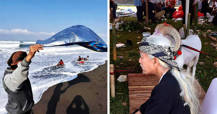 40 Street Photos Capturing Coincidences So Weird, You Might Have To Look Twice